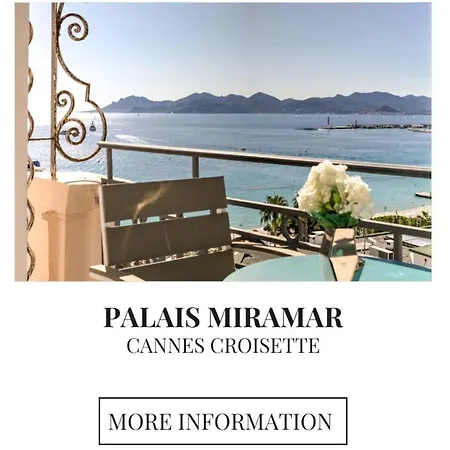 Croisette Palais Miramar Vue Laterale Cannes